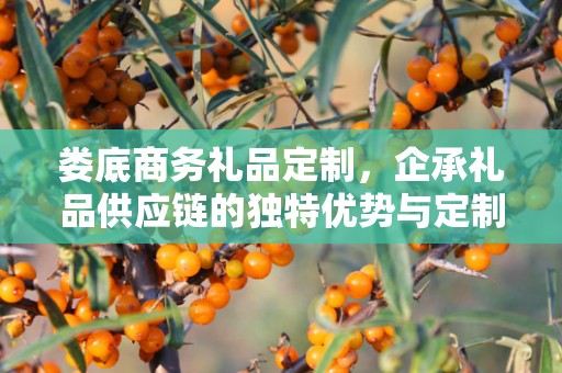 娄底商务礼品定制，企承礼品供应链的独特优势与定制之旅