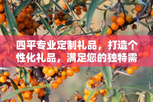 四平专业定制礼品，打造个性化礼品，满足您的独特需求