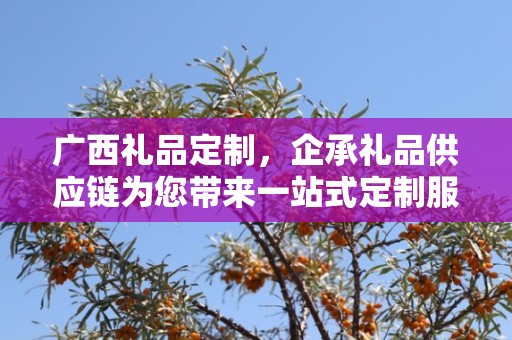 广西礼品定制，企承礼品供应链为您带来一站式定制服务